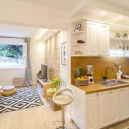 Apartment Amazing Luxury In